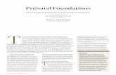 Prenatal Foundations€¦ · Studies of prenatal development his-torically have focused on insults to the developing brain or exposure to teratogens (e.g., drugs or alcohol). There