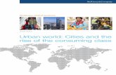 June 2012 Urban world: Cities and the rise of the .../media/McKinsey/Featured... · including ports and municipal water supply, all using our updated Cityscope database (see Box E1,