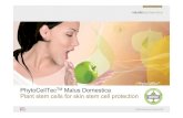 PhytoCellTec Malus Domestica Plant stem ... - Biogreen Science › file › clinical › PPT...capacity of skin stem cells; this is the breakthrough in anti-aging • PhytoCellTecTM