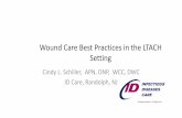 Best Practices in Wound Care in the LTACH Setting - …• Support surface that helps manage moisture Microclimate- temperature and moisture of skin\爀䈀漀琀栀 搀爀礀Ⰰ 戀爀椀琀琀氀攀