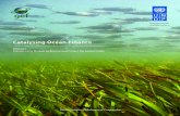Catalysing Ocean Finance - Sustainable Development · ecosystems and associated livelihoods and economies. In so doing, the GEF acknowledged that the sheer size and multi-country