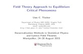 Field Theory Approach to Equilibrium Critical Phenomenacalaque/Slides-Tauber-lectures.pdf · Ferromagnetic Ising model Principal task of statistical mechanics: understand macroscopic