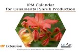 IPM Calendar for Ornamental Shrub Production · Calendar updated June 2013. User is responsible for following current pesticide label instructions. March Late March Host Plant Insect