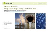 Murky Waters: Corporate Reporting on Water Risksites.nationalacademies.org/PGA/cs/groups/pgasite/...Supply chain disclosure was limited, even in sectors with water-intensive inputs.