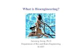 Wh t i Bi i i ?What is Bioengineering? - KAISTraphe.kaist.ac.kr/lecture/2010fallbis102/pt-1whatisbioengineering.pdf · Chaos, Fractal, Small-world effect, Synchronization, Bursts,