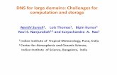 Neethi 1Suresh , Lois Thomas , Bipin Kumar 1 · DNS for large domains: Challenges for computation and storage Neethi 1Suresh, Lois Thomas 1, Bipin Kumar Ravi S. Nanjundiah1,2 and