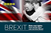 BREXIT can survive Brexit Risks and rights...has regularly reviewed the Brexit-related risks and issues facing the sector with members, and has also shared intelligence and produced