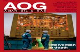 MARCH / APRIL 2010 AOG floating LNG future Measuring ...€¦ · floating LNG future Measuring marine CSEM’s success Heavy lifter eyes regional inroads AOG ASIAN OIL & GAS Intervention