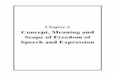 Concept, Meaning and Scope of Freedom of Speech and Expression › bitstream › 10603 › ... · 7 A.V. Dicey, “Introduction to the Study of Law of the Constitution” Macmillan,
