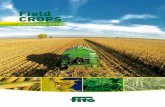 Field CROPS - Environmental XPRT › files › 88795 › ...products with an unbeatable colour, texture and flavour, whether it be tomatoes, peppers, cucumbers, courgettes, melons,