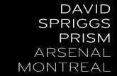 ARSENAL MONTREAL - David Spriggs€¦ · Artist’s resume Crédits et remerciements 62 Credits and acknowledgments Arsenal art contemporain Montréal + Toronto 2020 William Montréal,
