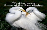 State of the Evergladesfl.audubon.org/...fl...everglades_fallwinter_2016.pdfEverglades National Park has recently committed to advancing an important project that will help Everglades