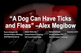 “A Dog Can Have Ticks and Fleas” –Alex Megibow...Daniel J A Margolis, MD Associate Professor of Radiology djm9016@med.cornell.edu “A Dog Can Have Ticks and Fleas” –Alex