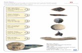 Puzzle Objects All the photographs on this page are … › newsome...Puzzle Objects All the photographs on this page are of tools that were used by Neolithic people. Unfortunately,