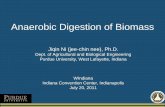 Anaerobic Digestion of Biomass - IN.gov › oed › files › Jiqin_Ni_Presentation.pdfA Future Trend of Biogas Use A 20,000m3/d vehicle bio-fuel biogas system under construction in