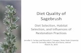 Diet Quality of Sagebrush - University of Wyoming › wrrc › _files › docs › ... · Diet Quality of Sagebrush Diet Selection, Habitat Selection, and Influences of Restoration
