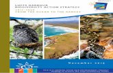 COFFS HARBOUR BIODIVERSITY ACTION STRATEGY · 2017-08-15 · A6. THREATS TO OUR BIODIVERSITY 37 A6.1 Key threats to Coffs Harbour’s biodiversity 37 A 6.2 Uni versal threats 39 A6.