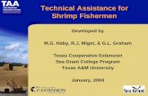 Technical Assistance for Shrimp Fishermen · Shrimp Quality Improves With Shorter Tow Times • Physical damage is reduced. Pieces are a major drag on revenue. In summer 2003, a piece