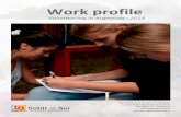 Work profile - ICYE · Work profile Volunteering in Argentina - 2019 San Martin 575, 6º piso (C1085ABO) Ciudad Autónoma de Buenos Aires Tel: 0054- 11- 53688370