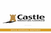 2016 ANNUAL REPORTcastleminerals.com/downloads/reports/cdt_ar2016.pdf · 2016-10-14 · Michael Atkins, B.Comm, (Non-Executive Chairman, member of Remuneration Committee, appointed