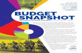 LIVES COMMUNITY BUDGET SNAPSHOT · 2020-02-18 · dupage forest preserve county of dupage lisle township road county health department lisle township dupage airport authority 8.66%