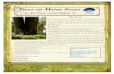 The Project Canopy Bulletin - Maine.gov › dacf › mfs › policy_management › ...How To Nominate a Potential Champ - Do you know of a really BIG TREE? You can nominate a tree
