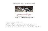 Husbandry guidelines for little penguins · Little penguins are only found in the Southern Hemisphere preferring the warmer waters along the shores of Southern Australia, Tasmania,