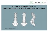 06339-19 Coccydynia surgical coccygectomy · Coccydynia, or coccygeal pain, is the medical term used to ... (tendinopathy – similar to that of tennis elbow) • childbirth, particularly