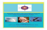 SUMMER RETREAT with DOLPHINS & WHALES ... › SUMMER_RETREAT_August_2020.pdfSUMMER RETREAT with DOLPHINS & WHALES Experience Communication, Wisdom and Core Level Healing for YOU! 2