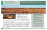 Improving Lesser Prairie-Chicken Habitat · native to regions of Kansas, Colo-rado, Oklahoma, New Mexico, and Texas. It is related to the sharp-tailed grouse and differs slightly