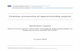 Cedefop community of apprenticeship experts Synthesis report · Cedefop community of apprenticeship experts How are European countries managing apprenticeships to respond to the COVID-19