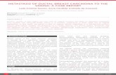 VAGINA: A CASE REPORT - European Medical Journal › wp-content › uploads › ...radiotherapy was not performed. DISCUSSION Primary cancers of the vagina are rare, predominantly