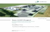 Tees CCPP Project - Planning Inspectorate...application under the Construction (Design and Management) Regulations 2015 (CDM), within and outside of the site's operational boundaries.