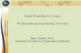 Small Fruit Berry Crops: Production and marketing overviewcesanluisobispo.ucanr.edu/files/206191.pdf · 2015-02-03 · Small fruit berry crops • Share many production and marketing