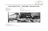 BACHELOR THESIS SEMINAR Dagmar_BS... · 2019-09-17 · Use chunks of annotated bibliography, weave into the narrative. This is the beginning of your theoretical chapter of the thesis