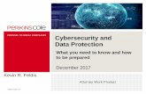 Cybersecurity and Data Protection › wp-content › uploads › K_Feldis... · you to legal, contractual and regulatory risks • Failure to stress test • Failure to enforce 2.