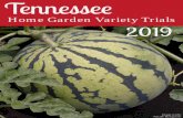 Home Garden Variety Trials 2019 - University of …...through this seed catalogue and check out the available trials for this year. Each trial con-tains two varieties that you will