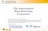 The International Plant Protection Convention · © FAO May 2007. 3 of 64. Introduction. The International Plant Protection Convention (IPPC) is an international treaty that encourages