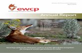 Ethiopian Wolf Conservation Programme April Ethiopia has a few thousand confirmed Covid-19 cases at