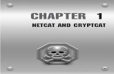 Netcat and Cryptcatindex-of.co.uk › Tmp › 1611.0.0072222824_ch01.pdfNetcat and Cryptcat 3 Hacking / Anti-Hacker Tool Kit / Jones, Shema, Johnson / 222282-4 / Chapter 1 P:\010Comp\Hacking\282-4\ch01.vp