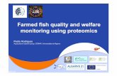 Farmed fish quality and welfare monitoring using proteomicsFarmed fish quality and welfare monitoring using proteomics Pedro Rodrigues Aquaculture research group, CCMAR, Universidade