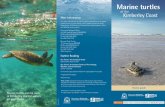 Marine turtles of the Kimberley Coast · 2019-01-24 · Sea Turtles: An Ecological Guide David Gulko, Karen Eckert Sea Turtles: A Complete Guide to Their Biology, Behavior, and Conservation