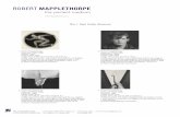 ROBERT MAPPLETHORPE - Newsroom | News from …news.getty.edu/content/1208/images/mapplethorpefinal...The J. Paul Getty Trust Communications Department 1200 Getty Center Drive, Suite