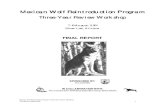Mexican Wolf Reintroduction ... Mexican Wolf Recovery Plan, approved in 1982 by the U.S. Fish and Wildlife