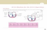 ACLS Rhythms for the ACLS AlgorithmsACLS Rhythms for the ACLS Algorithms A p p e n d i x 3 253 Posterior division Anterior division Purkinje fibers Sinus node Bachmann’s bundle AV