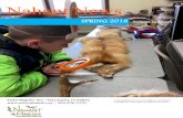 Spring 2018 Newsletter - Nahant Marsh Education Center · Females can have anywhere between 1 and 12 pups per litter. Pups will get their distinct coloring within about a month when