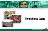Florida Citrus Sports - Home - City of Orlando › venues › wp-content › uploads › sites › 2 › 201… · Presentation by Florida Citrus Sports • Best in Class fan experience