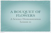 A BOUQUET OF FLOWERS - Bouquet of...آ  A BOUQUET OF FLOWERS A Science Demonstration Lesson 22 1 Fri,