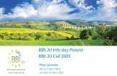 BBI JU Info day Poland BBI JU Call 2020...2020/03/04  · BBI JU Calls overview RIA-DEMO-CSA Call 2015.2 FLAG Call 2015.1 Call 2014 Call 2016 10 funded projects 3 funded projects 23