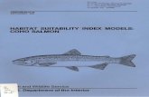 HABITAT SUITABILITY INDEX MODELS: COHO SALMON€¦ · States to provide put-and-grow sport fishing (Scott and Crossman 1973; Wigglesworth and Rawson 1974). No subspecies of coho salmon